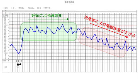 体温 したら 基礎 妊娠