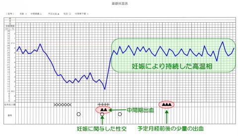 妊娠初期 基礎体温下がった