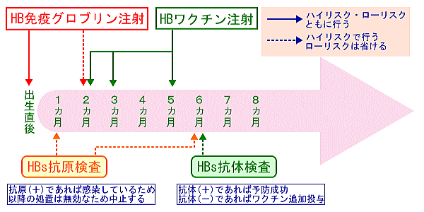 型 肝炎 ワクチン b